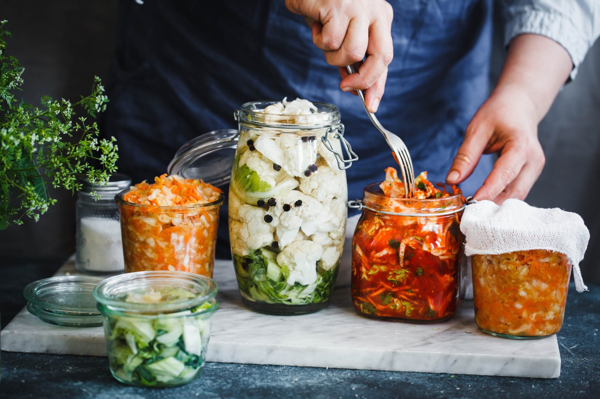Study: Gut microbiome and cancer implications: Potential opportunities for fermented foods. Image Credit: casanisa/Shutterstock.com