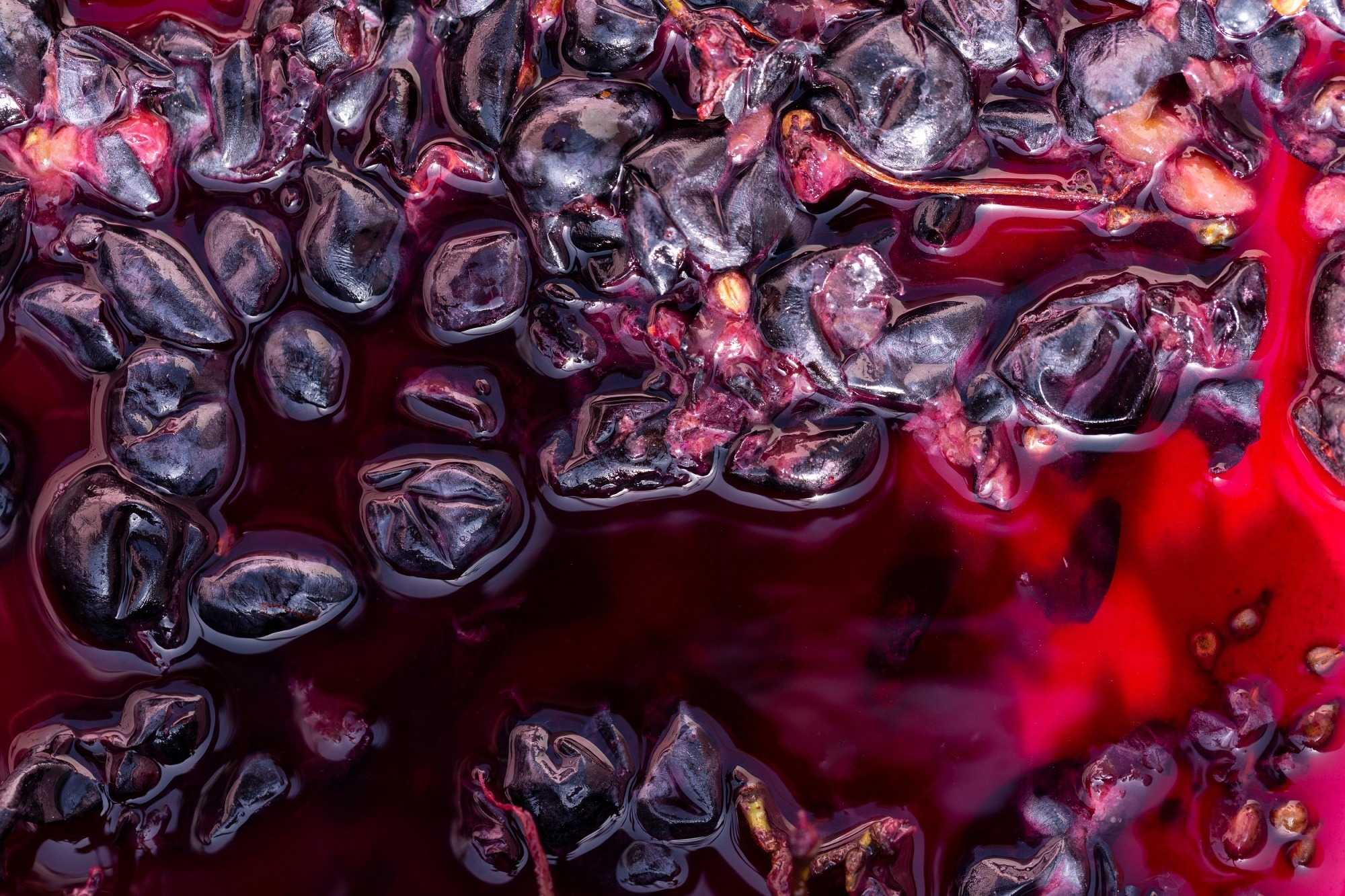 Study: Grape Pomace as a Cardiometabolic Health-Promoting Ingredient: Activity in the Intestinal Environment. Image Credit: PiotrVelixar/Shutterstock.com