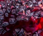 Can grape pomace be used as a cardiometabolic health-promoting ingredient?