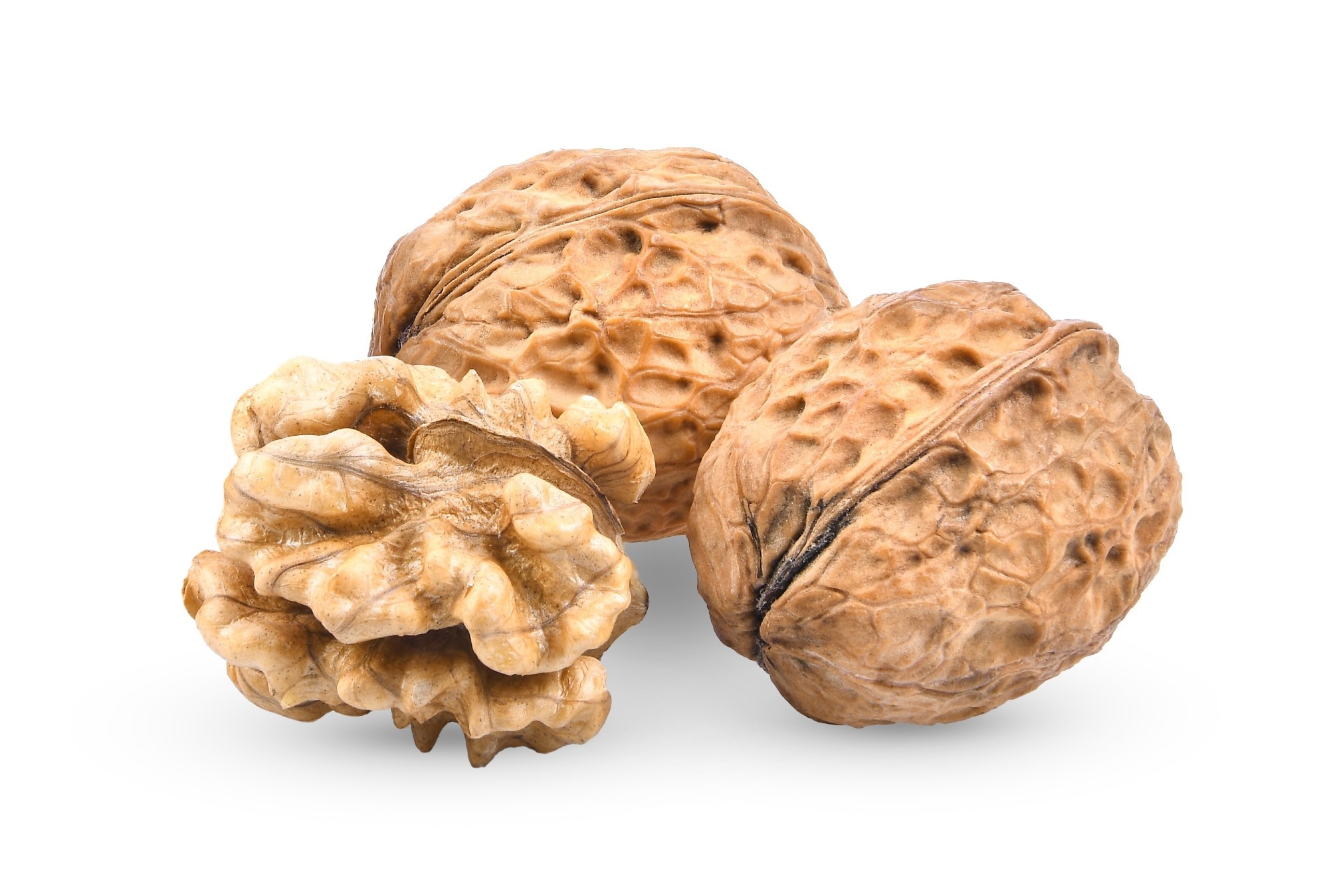 Study: Antioxidant and Anti-Inflammatory Properties of Walnut Constituents: Focus on Personalized Cancer Prevention and the Microbiome. Image Credit: SOMMAI/Shutterstock.com