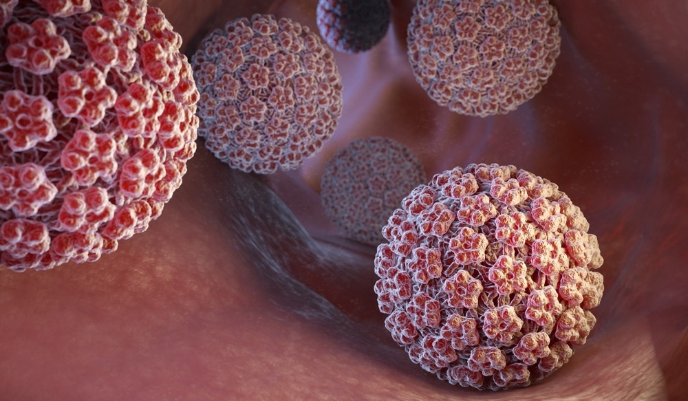 Study: Microbiome insights open new avenues to treat HPV. Image Credit: Tatiana Shepeleva/Shutterstock.com