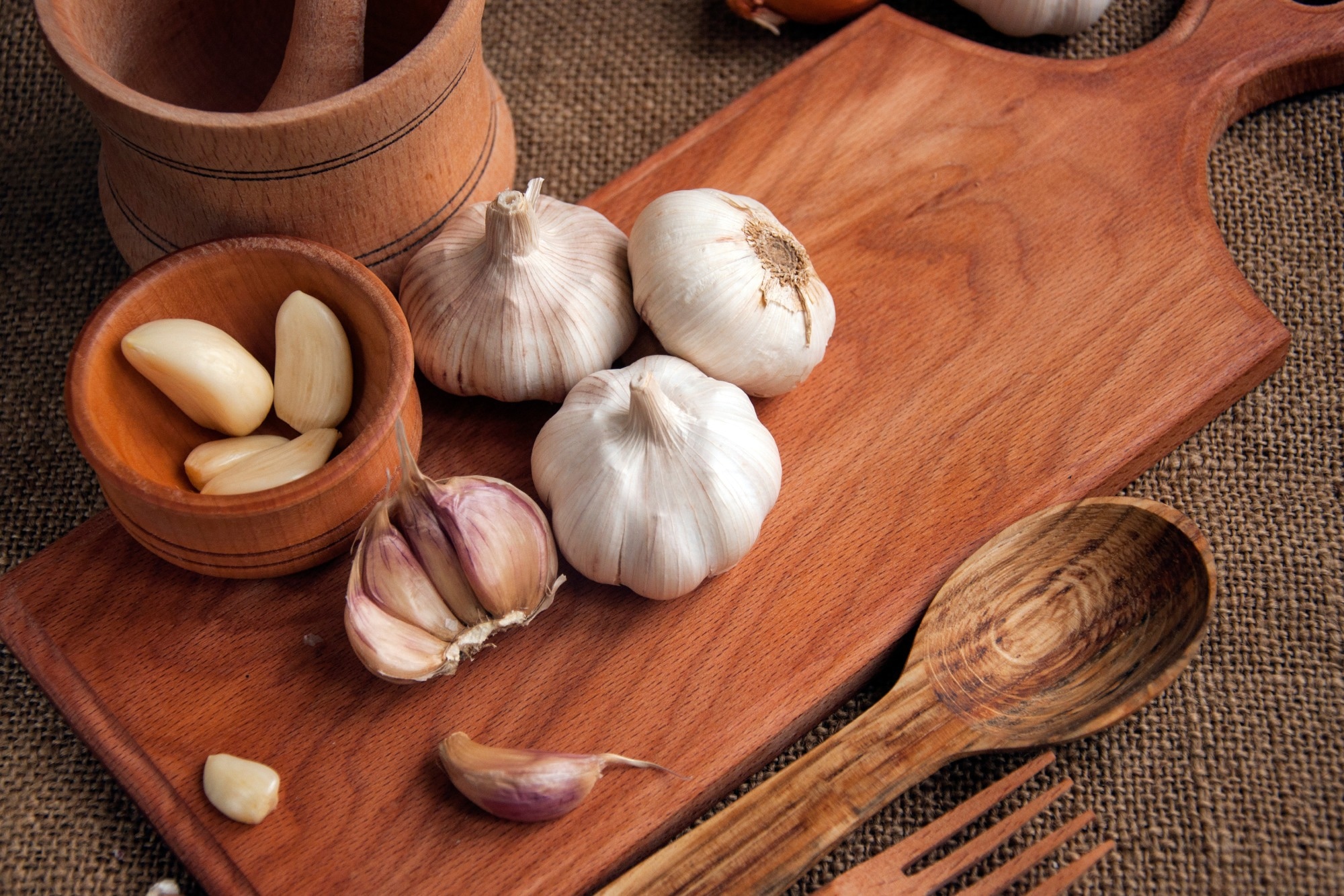 Study: Garlic consumption in relation to colorectal cancer risk and to alterations of blood bacterial DNA. Image Credit: Volodymyr Plysiuk / Shutterstock.com