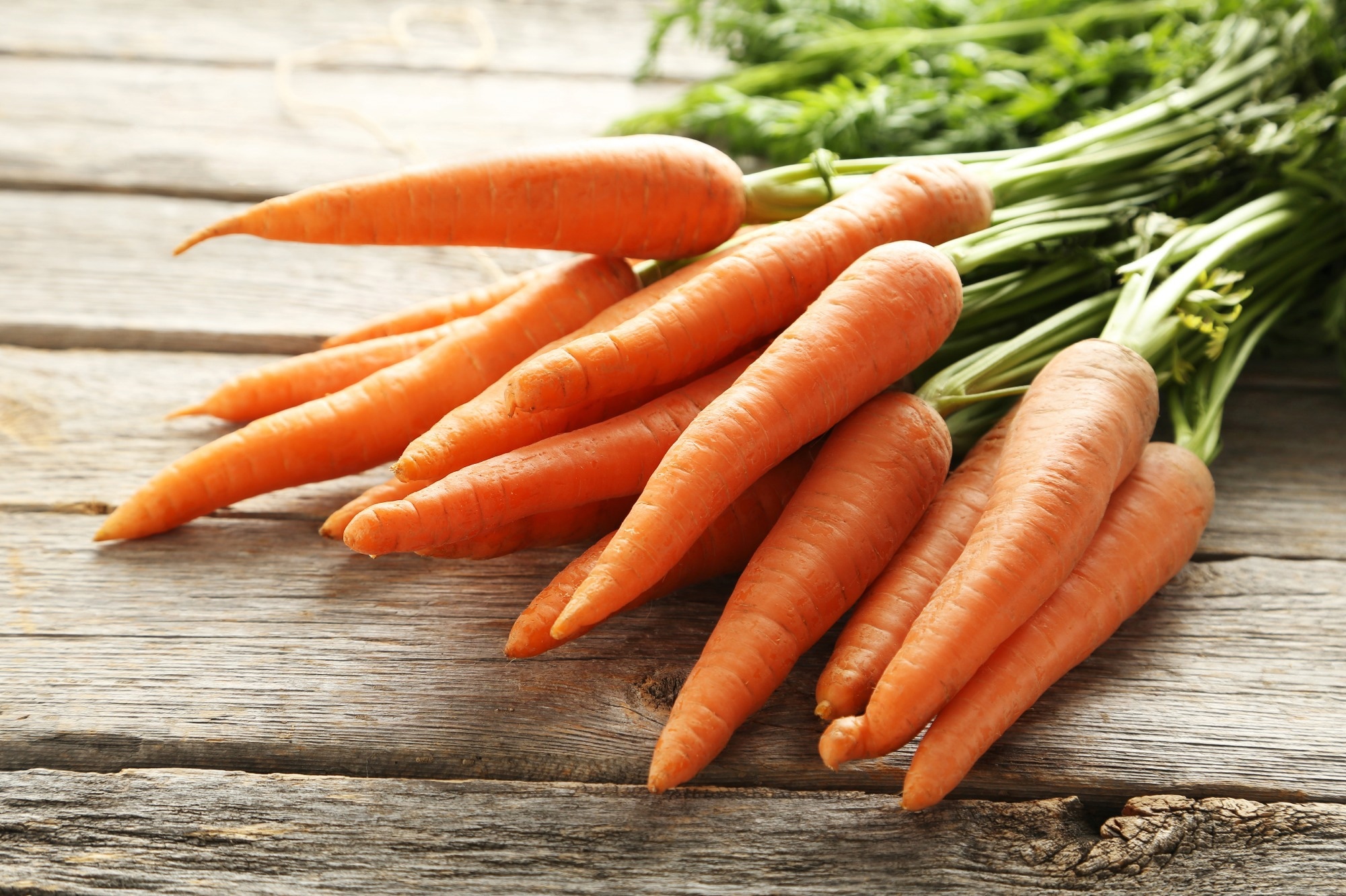Study: Carrot RG-I Reduces Interindividual Differences between 24 Adults through Consistent Effects on Gut Microbiota Composition and Function Ex Vivo. Image Credit: 5secondStudio/Shutterstock.com