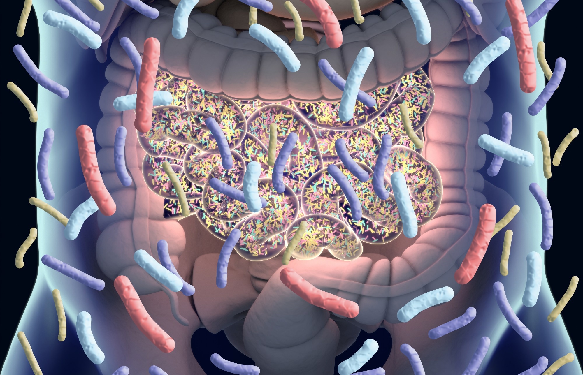 Étude : Dysbiose du microbiome intestinal au début de la maladie de Parkinson, du trouble du comportement en sommeil paradoxal et de leurs parents au premier degré.  Crédit d'image : Image d'anatomie/Shutterstock