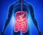 Uncovering Hidden Diversity in Human Gut Anatomy
