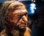 Neanderthal genes shape human noses