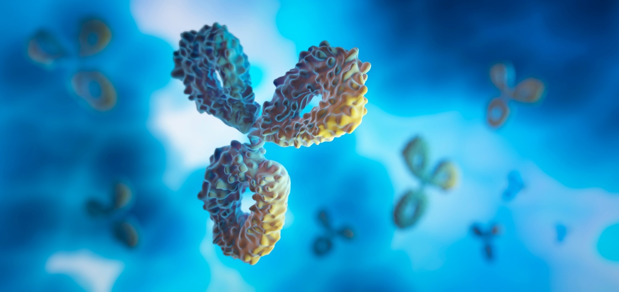 Adenovirus and mRNA COVID vaccines differ in 6-month antibody durability