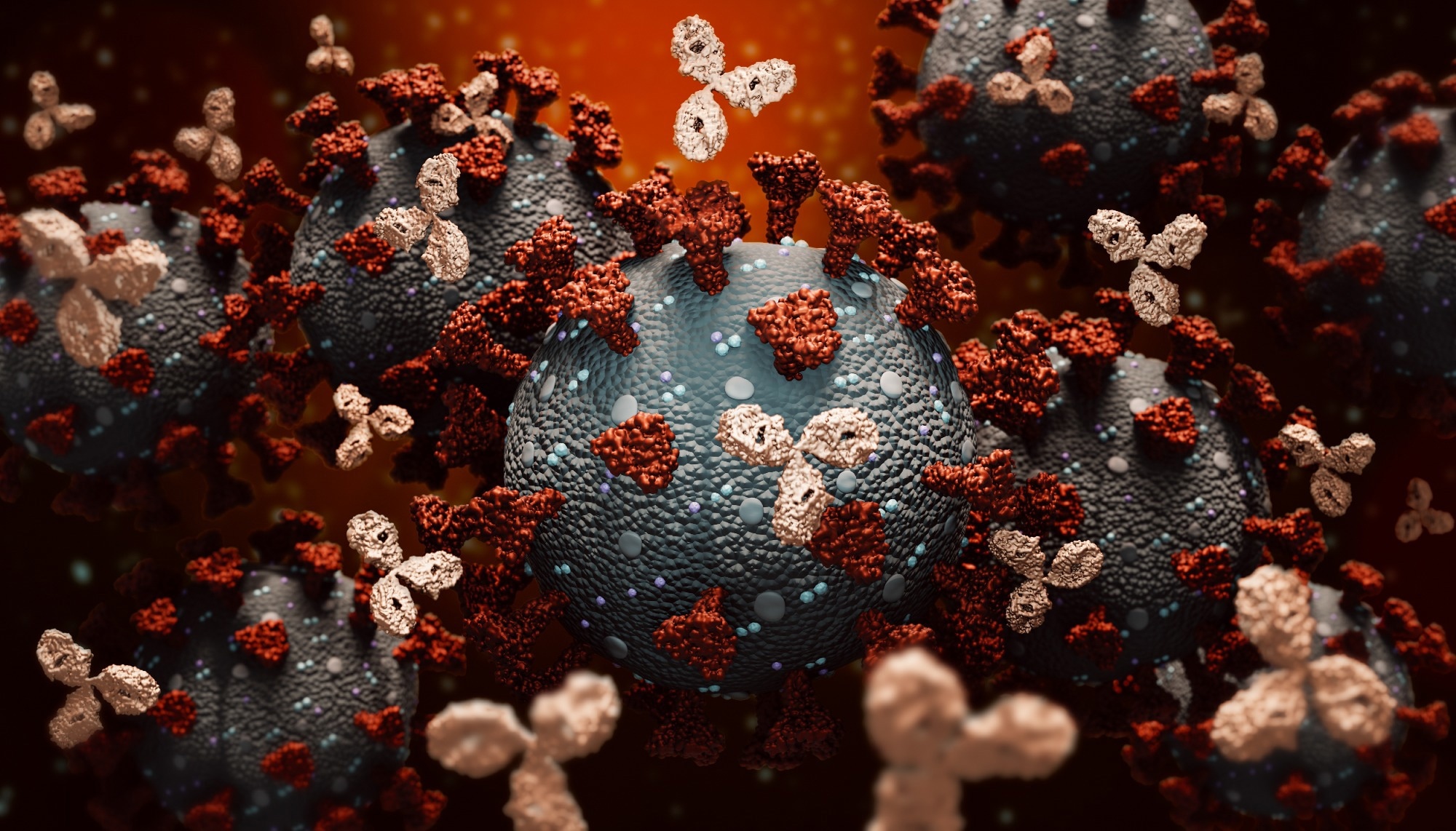 مطالعه: آنتی‌بادی‌های خنثی‌کننده گسترده علیه ساربکویروس‌های تولید شده از طریق ایمن‌سازی ماکاک‌ها با واکسن کووید-۱۹ کمکی AS03.  اعتبار تصویر: MattL_Images/Shutterstock.com