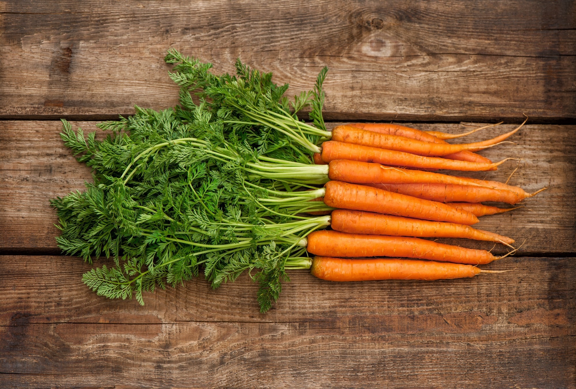 Study: Overview of the Potential Beneficial Effects of Carotenoids on Consumer Health and WellBeing. Image Credit: LilieGraphie / Shutterstock.com