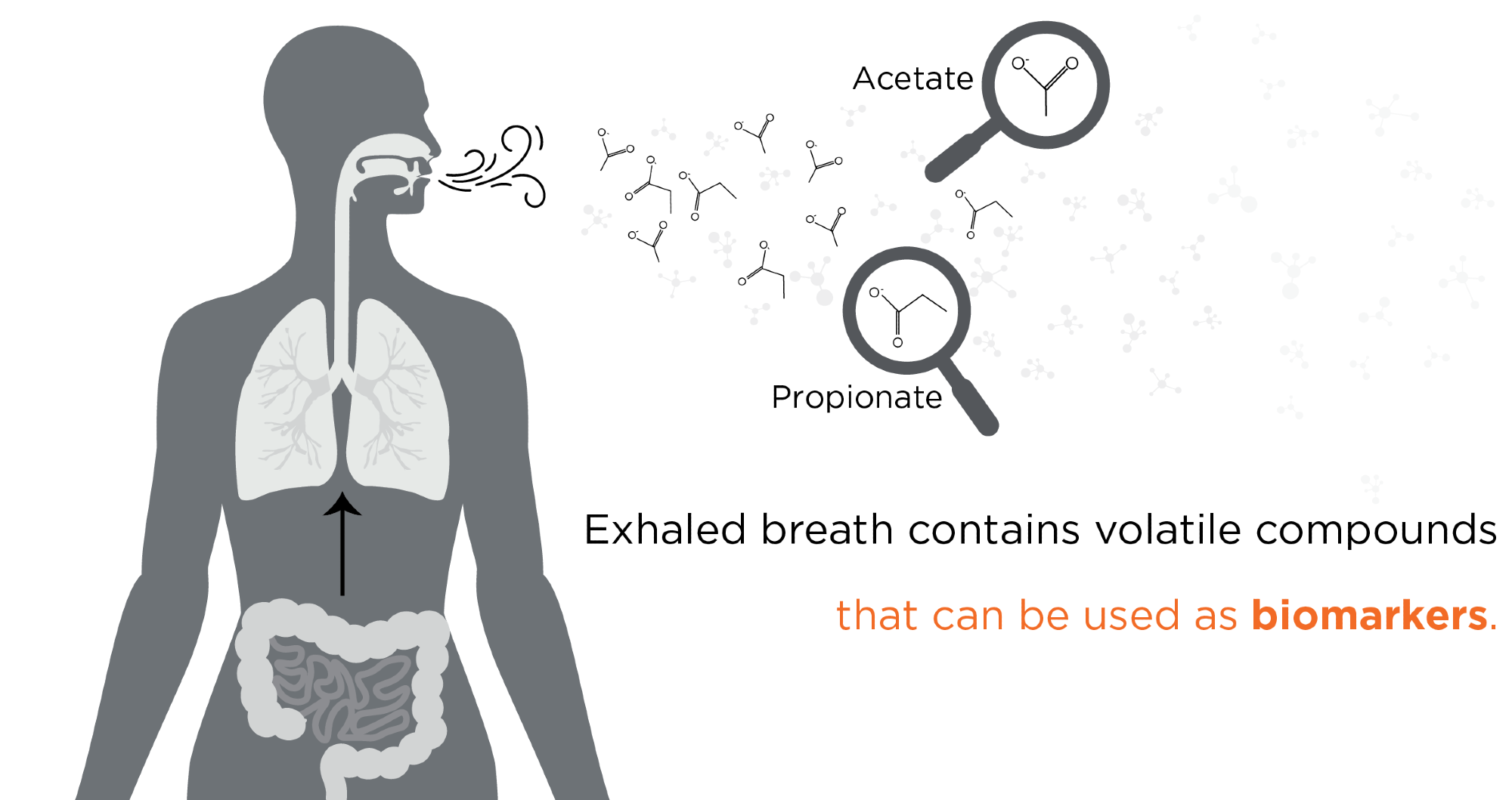 breath biopsy
