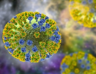 Study identifies two novel highly pathogenic avian influenza viruses (H5N1) clade 2.3.4.4b.2