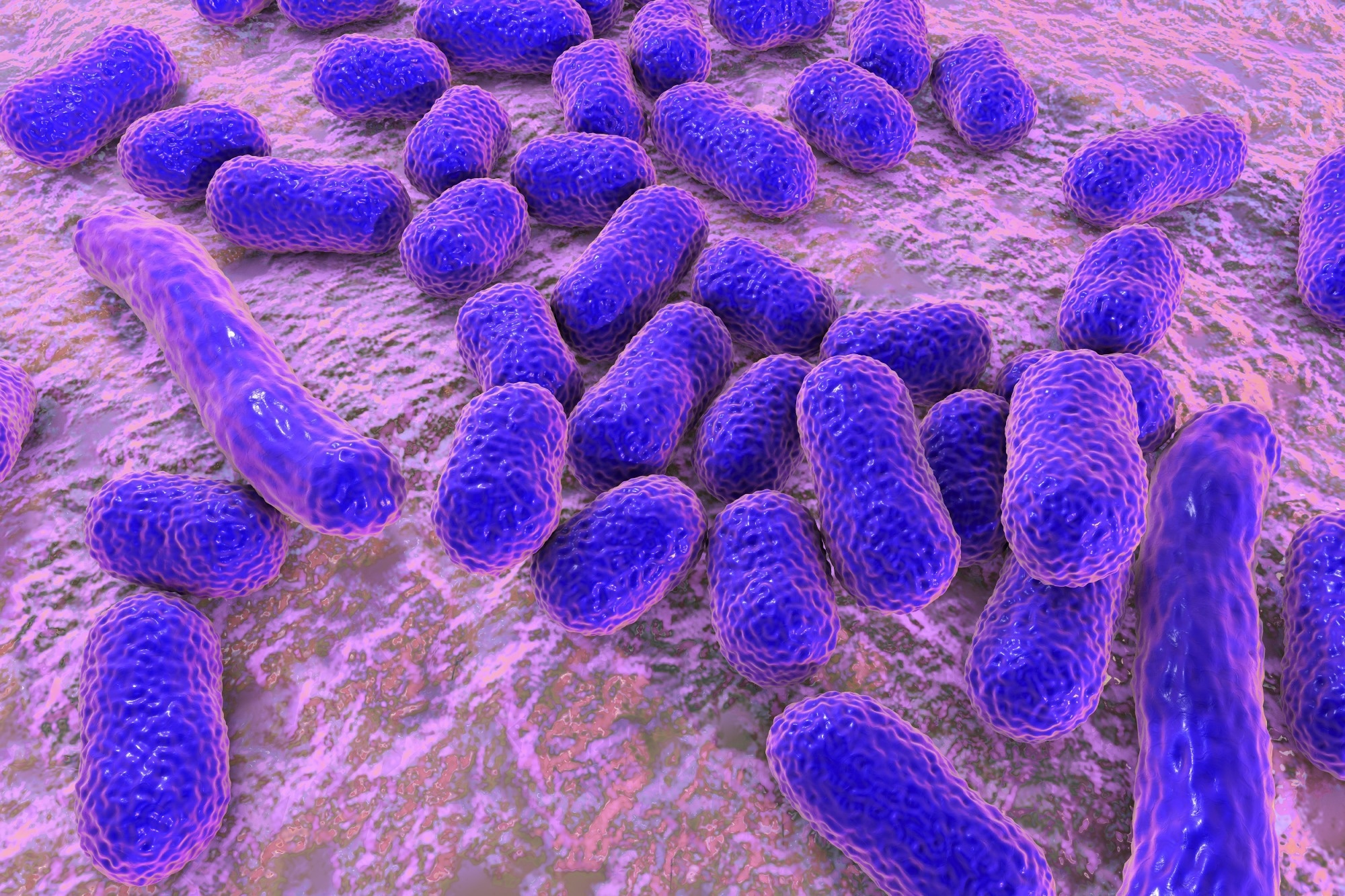 Old drugs show new potential for superbugs