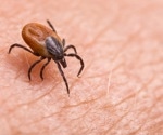 Ticks found to harbor and release prions of chronic wasting disease