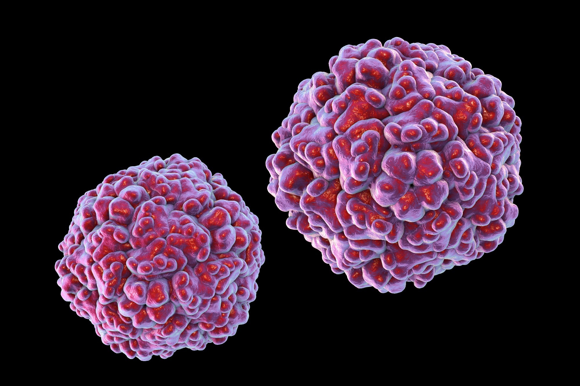 Study: EV-D68 virus-like particle vaccines elicit cross-clade neutralizing antibodies that inhibit infection and block dissemination. Image Credit: KaterynaKon/Shutterstock.com