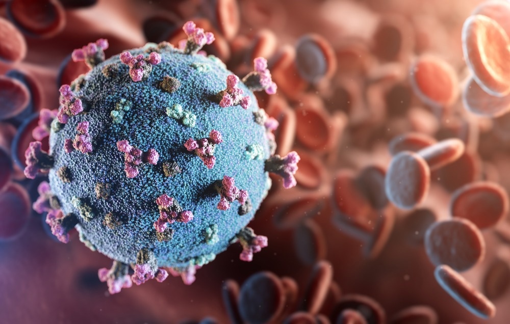 Study: A novel insight on SARS-CoV-2 S-derived fragments in the control of the host immunity. Image Credit: creativeneko/Shutterstock.com