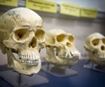 Unraveling the origins of humanity: New research challenges single-origin theory