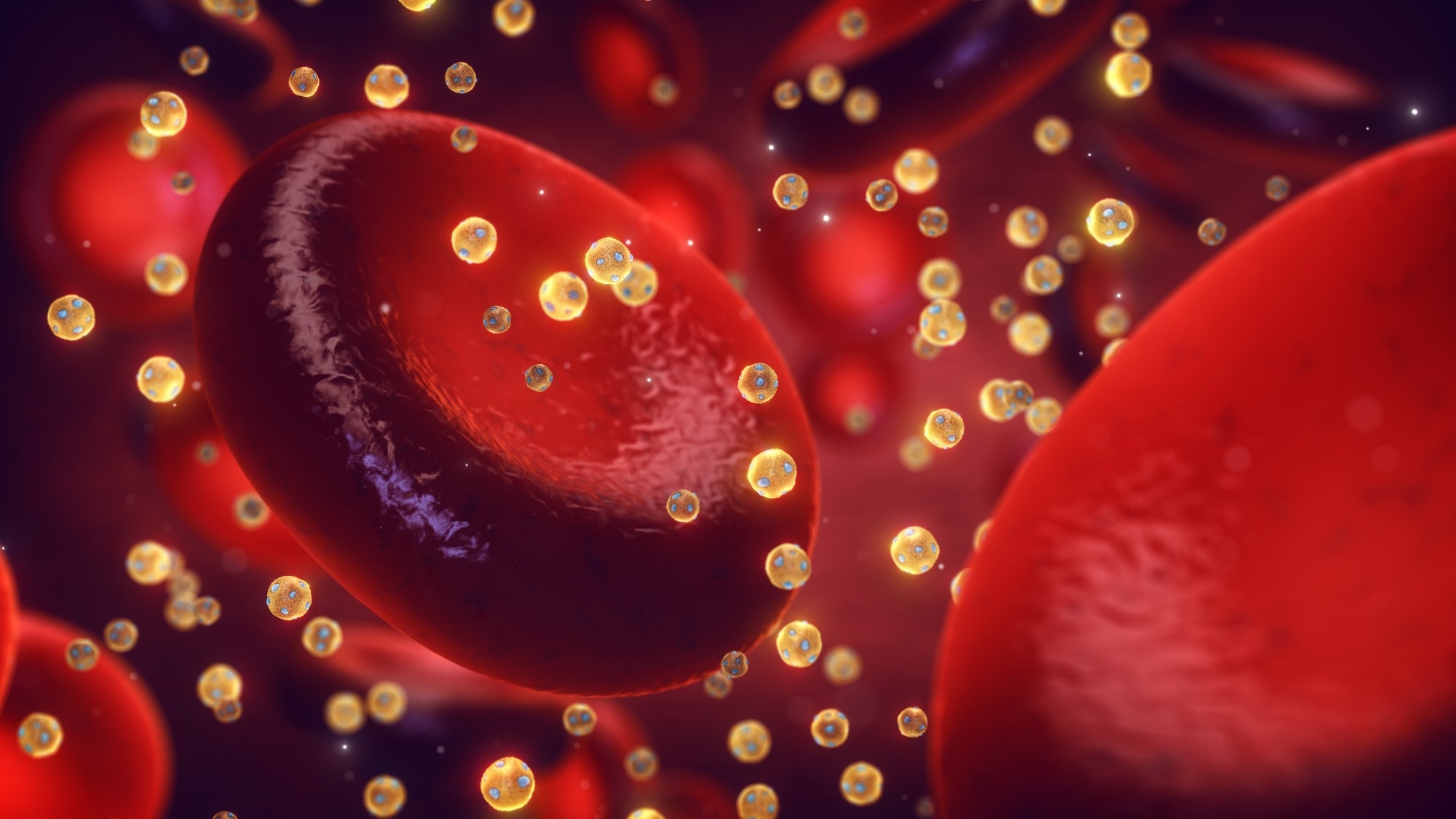 High HDL-C levels and cardiovascular risks