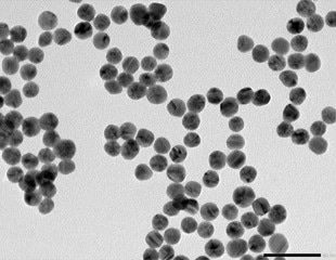 The antimicrobial potential of nanoparticles