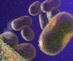 CDC reports on its Mpox response