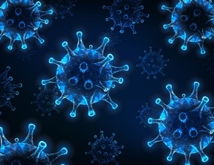 The adaptive immunity of human endemic viruses