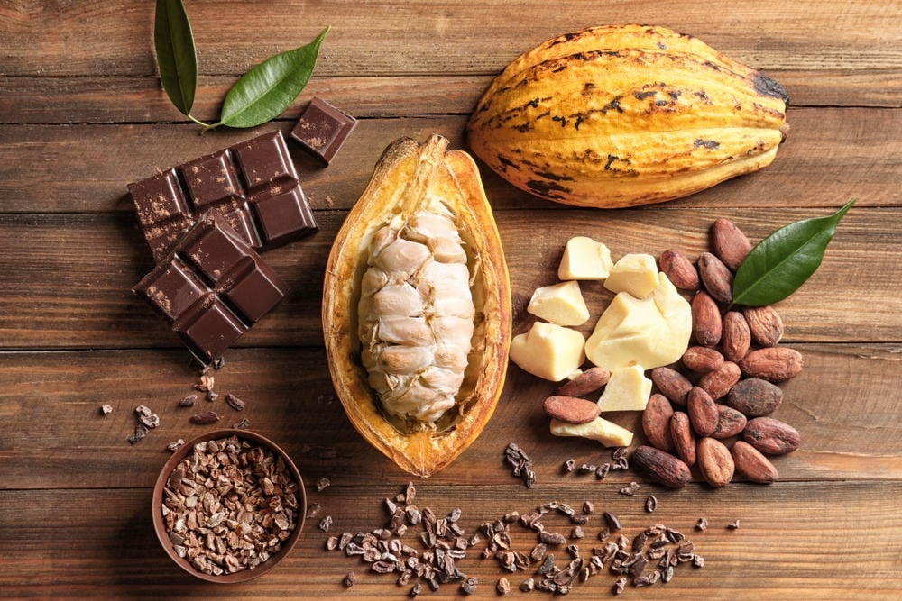 Study: Chocolate intake and muscle pain sensation: A randomized experimental study. Image Credit: Africa Studio/Shutterstock