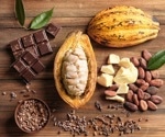 Can ingesting products with different percentages of cocoa affect muscle pain sensation?