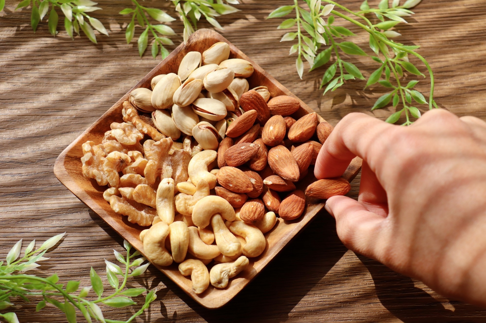 Study: Longer-term mixed nut consumption improves brain vascular function and memory: a randomized, controlled crossover trial in older adults.  Image Credit: umaruchan4678 / Shutterstock.com