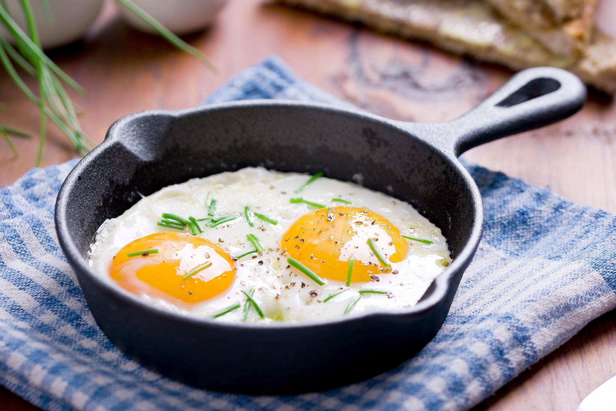 Study: Impact of a Low-Carbohydrate Compared with Low-Fat Breakfast on Blood Glucose Control in Type 2 Diabetes: A Randomized Trial. Image Credit: Patrycja St / Shutterstock.com
