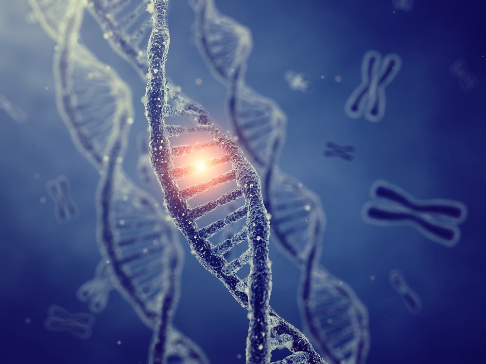 Study: Germline Genetic Testing After Cancer Diagnosis. Image Credit: nobeastsofierce/Shutterstock.com