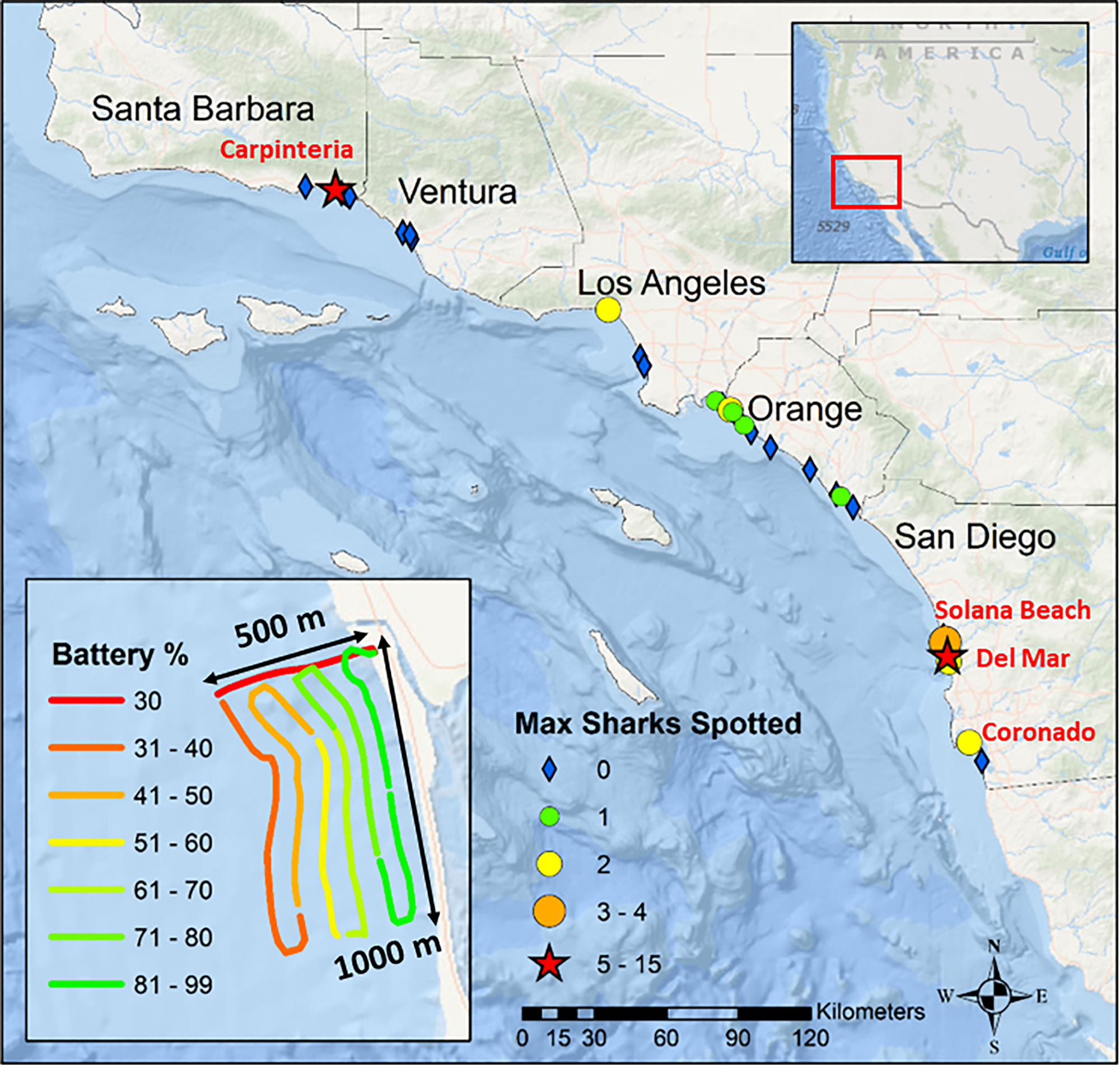 Map of overall survey area, beaches surveyed, and the maximum number of sharks observed during a single survey. Beaches labeled with red text were aggregation locations where 3 distinct individual sharks were observed on consecutive survey days. Our definition for aggregation site was limited to locations where 5 distinct individual sharks were observed on consecutive survey days and is limited to Carpinteria and Del Mar (stars). Map inset is an example of drone survey path. Base map and map data were produced in ArcGIS. Base map data produced by Esri, Garmin, the General Bathymetric Chart of the Oceans, and the National Oceanographic and Atmospheric Administration National Geophysical Data Center. Map imagery from USGS can be viewed here: https://apps.nationalmap.gov/viewer/.