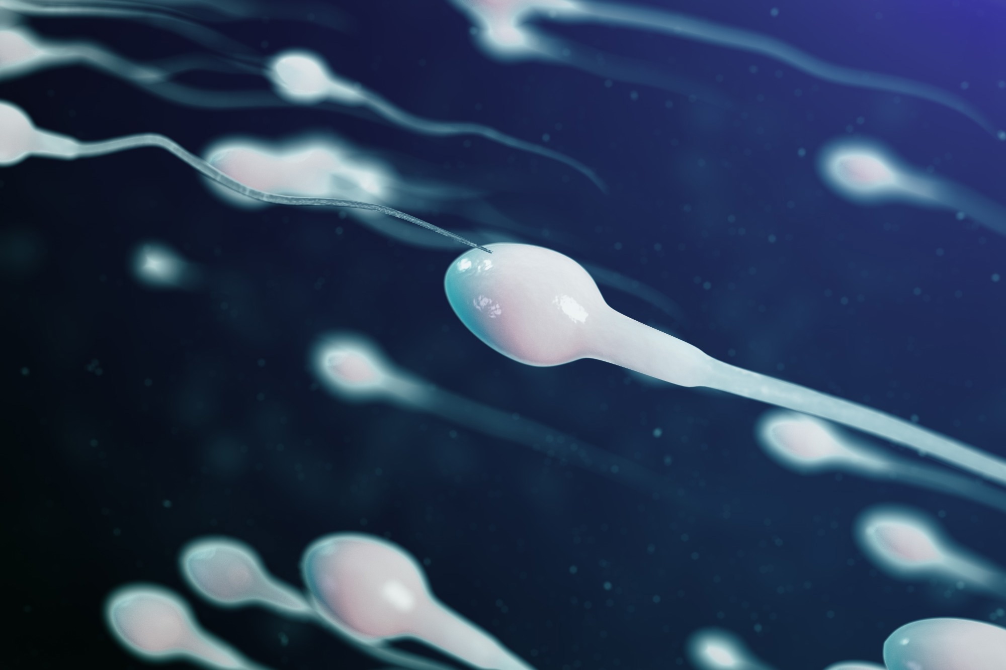 Study: SARS-CoV-2 infection reduces quality of sperm parameters: prospective one year follow-up study in 93 patients. Image Credit: Rost9/Shutterstock.com