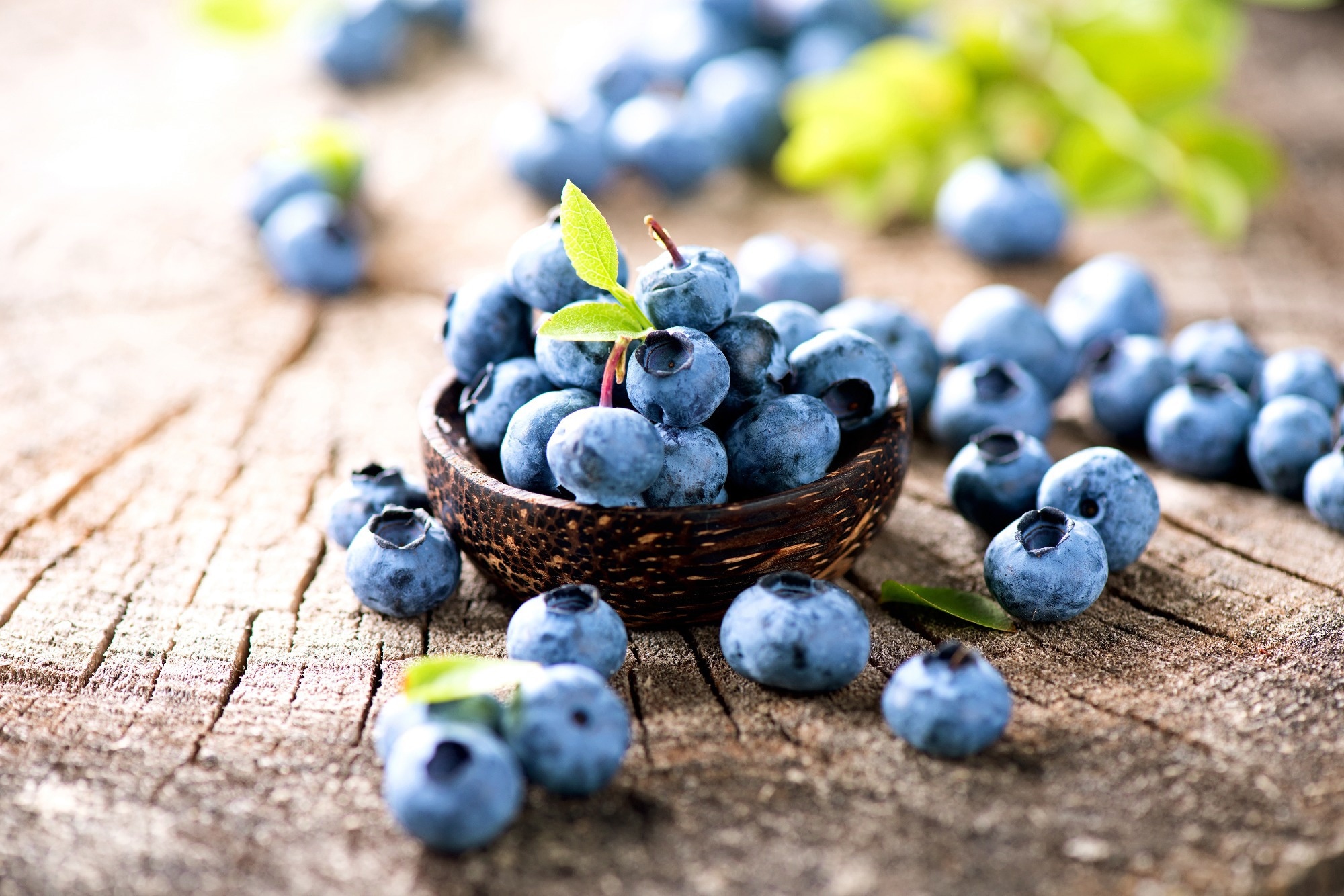 Study: Blueberry Supplementation and Skin Health. Image Credit: Subbotina Anna / Shutterstock.com