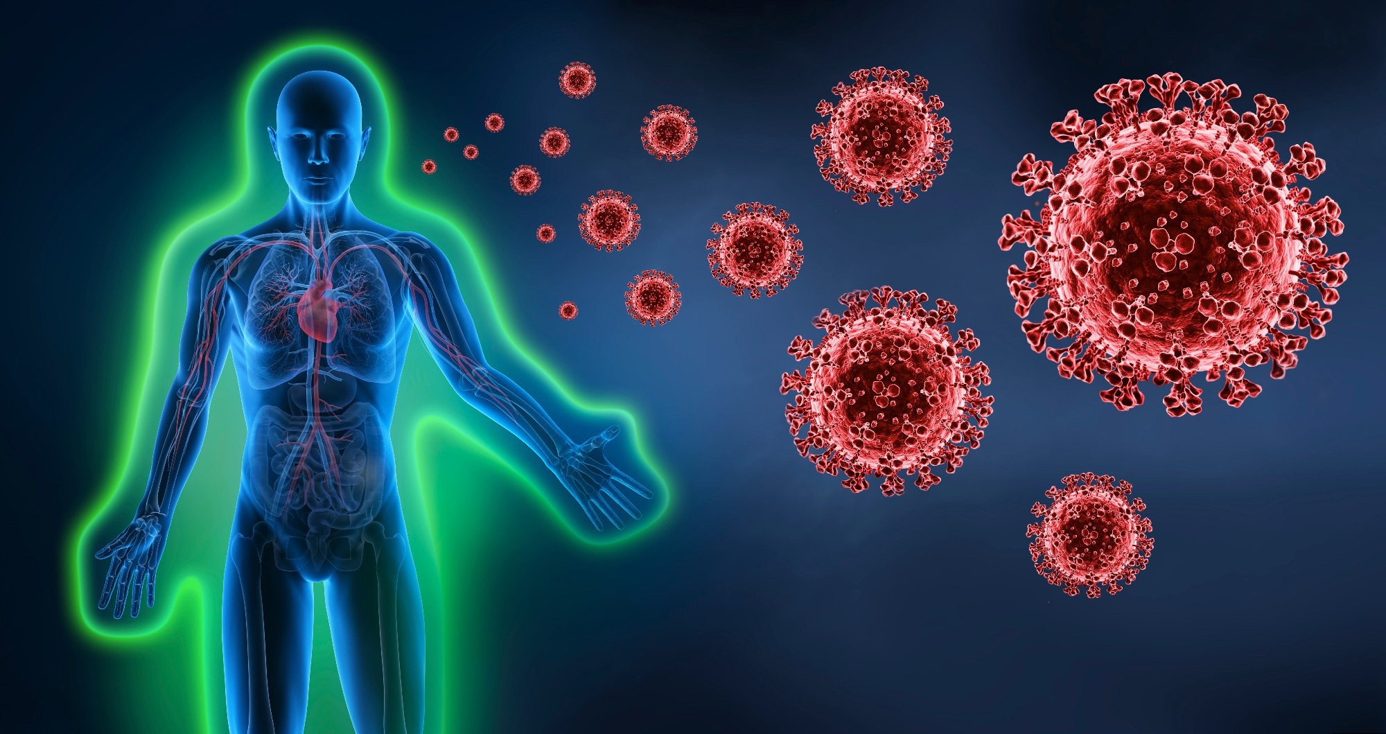 Study: Immune resilience despite inflammatory stress promotes longevity and favorable health outcomes including resistance to infection. Image Credit: peterschreiber.media/Shutterstock.com
