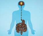 Gut microbiota holds clues to predicting Alzheimer's risk