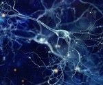 ACROBiosystems Aneuro Partners with Diagnostic Biochips to Accelerate Neuroscience Drug Discovery