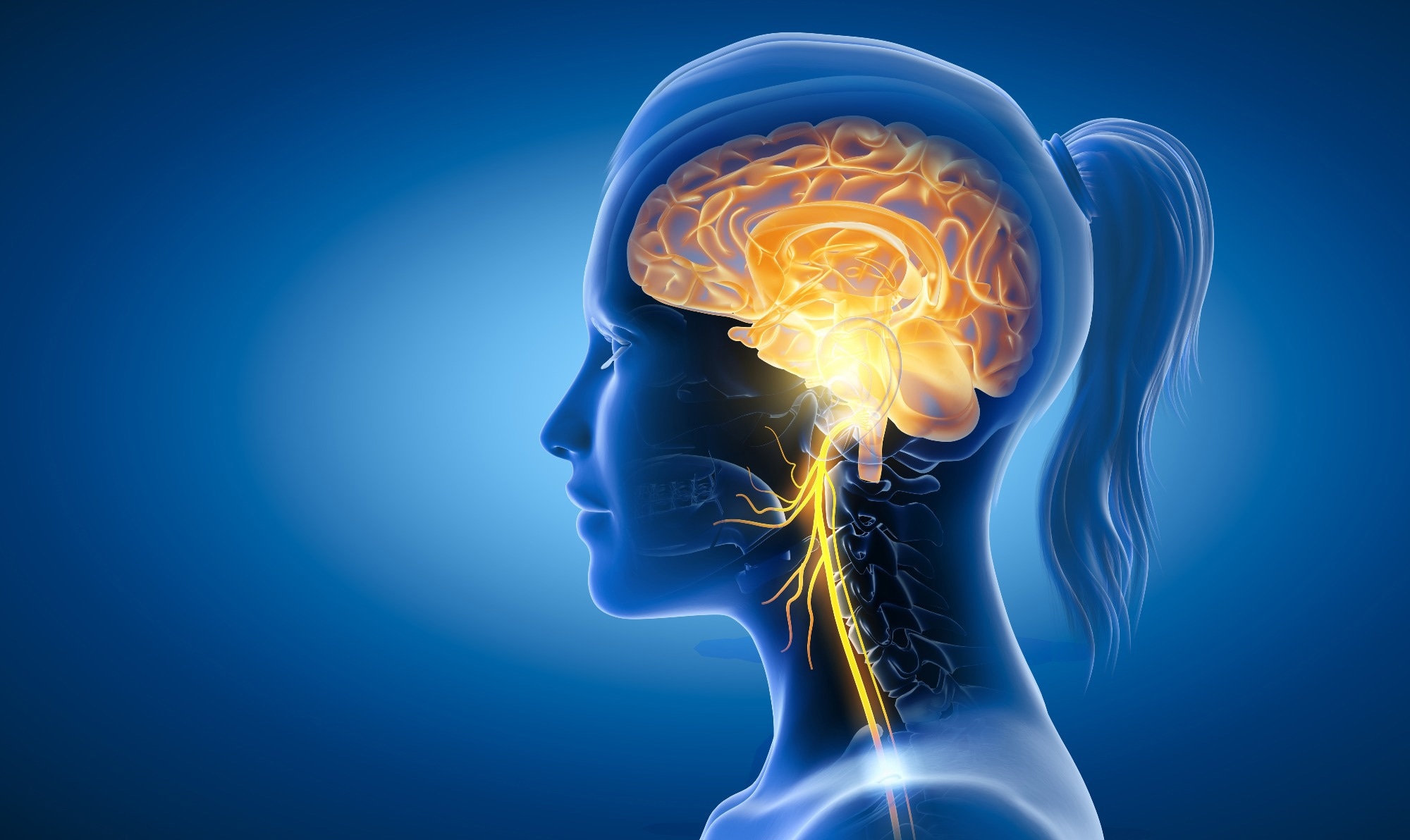 Study: Vagus Nerve Dysfunction in the Post-COVID-19 Condition. Image Credit: Axel_Kock/Shutterstock.com