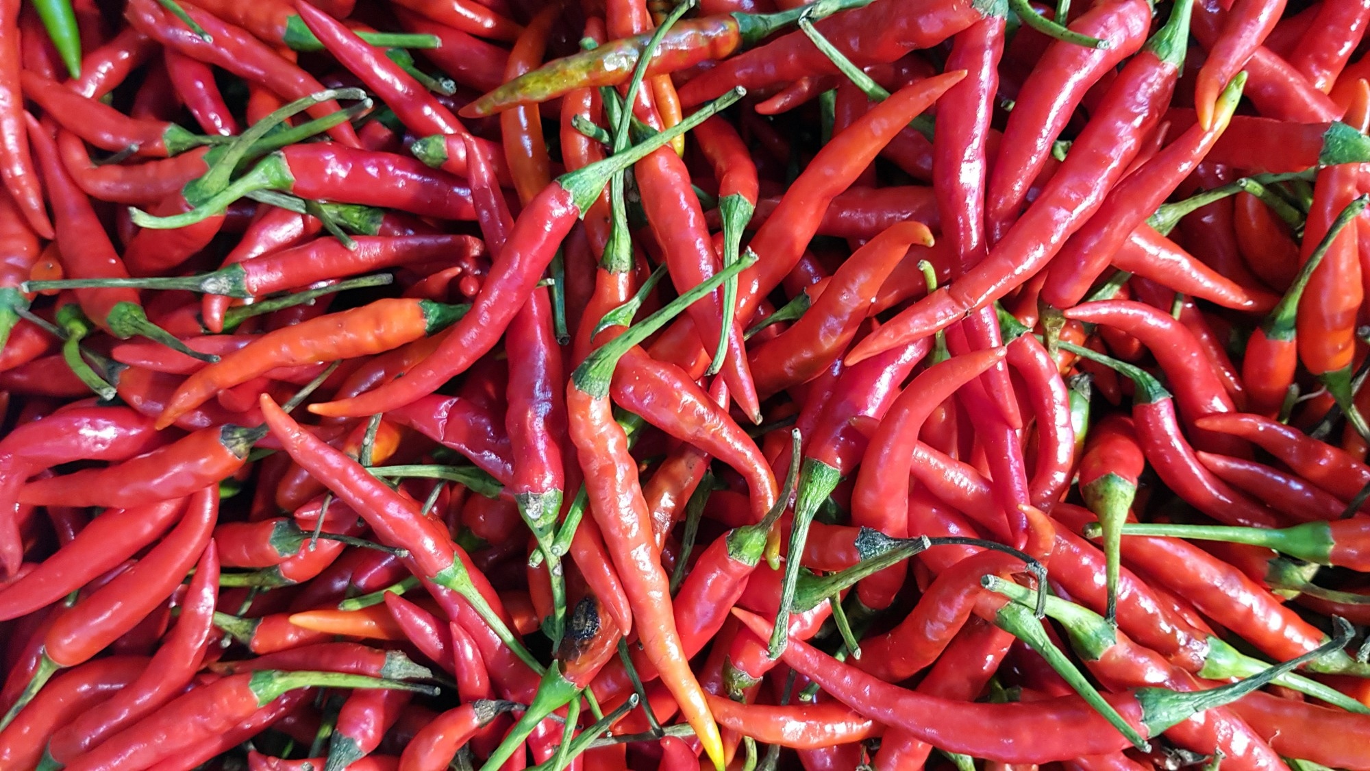 Study: More spice, less salt: how capsaicin affects liking for and perceived saltiness of foods in people with smell loss. Image Credit: joel bubble ben / Shutterstock.com