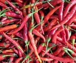 Spicing up taste for smell-loss sufferers: Capsaicin boosts salt perception and flavor