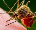 Europe's battle against Aedes mosquitoes: growing threat of mosquito-borne diseases