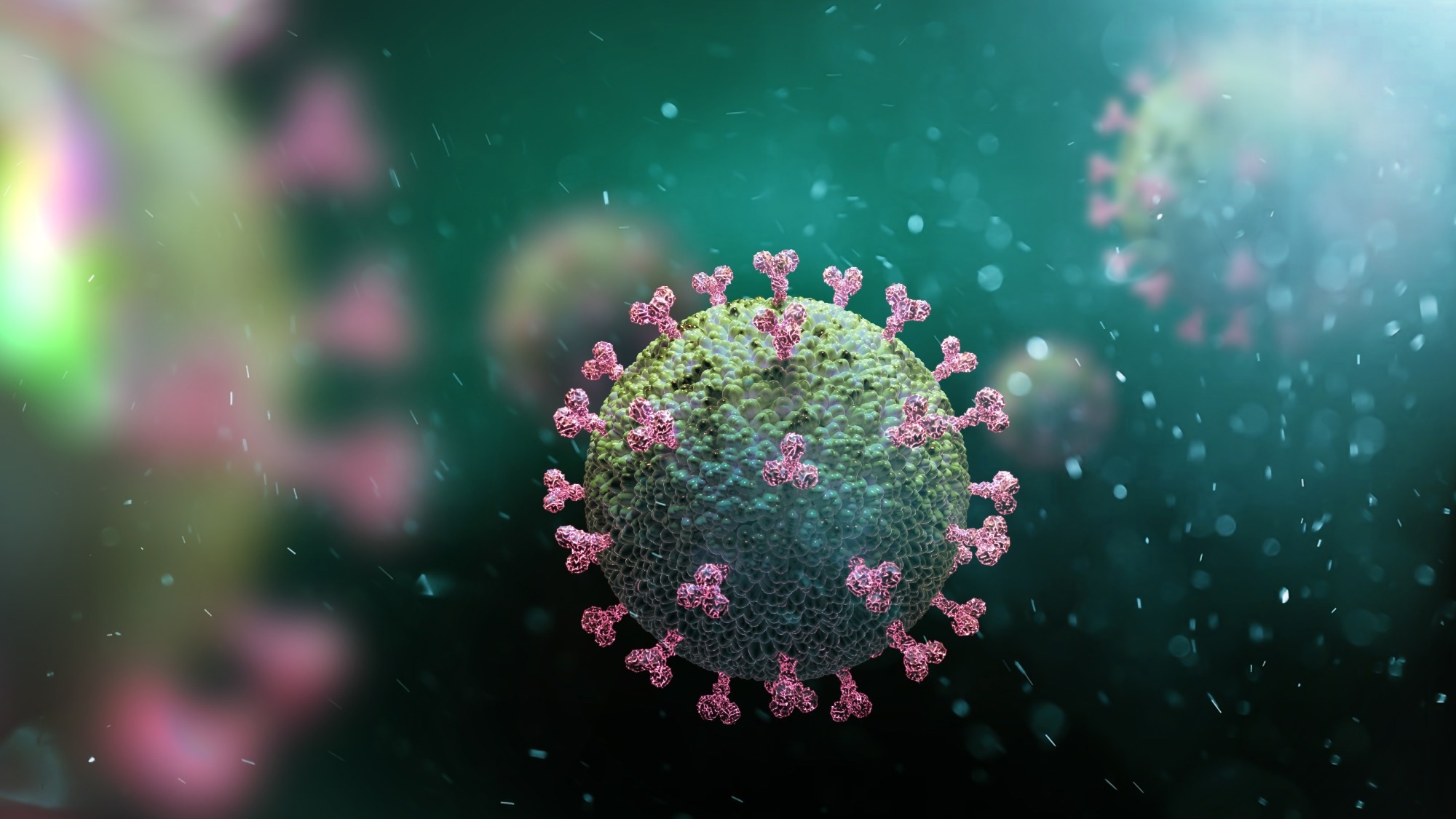 Study: Humoral immune response to omicron infection in long-term Wuhan-Hu-1-imprinted population. Image Credit: AndriiVodolazhskyi/Shutterstock.com