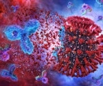 New research shows antibody cross-reactivity between human and animal coronaviruses