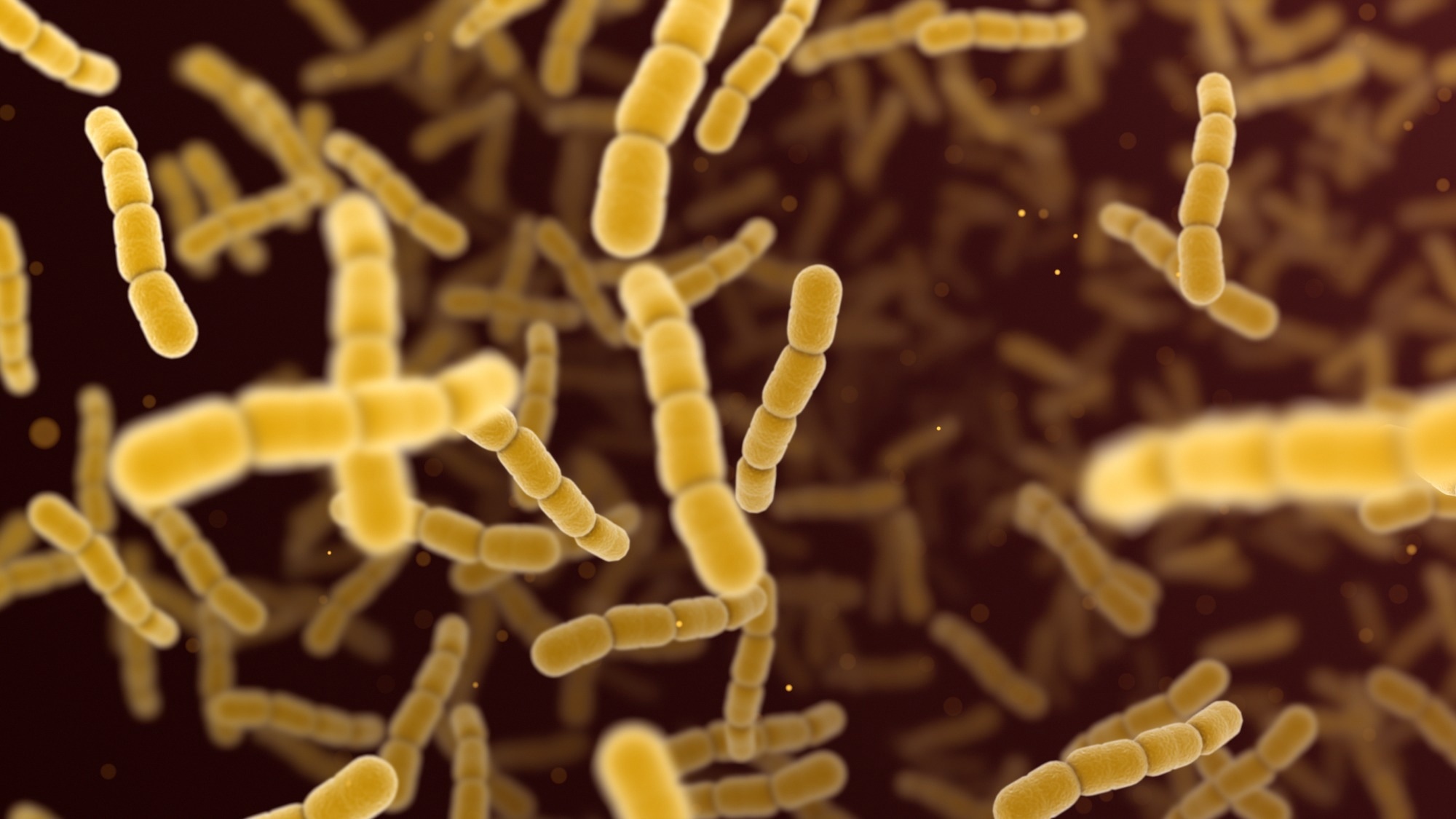 Study: Human Fecal Carriage of Streptococcus agalactiae Sequence Type 283, Thailand. Image Credit: Jezper/Shutterstock.com