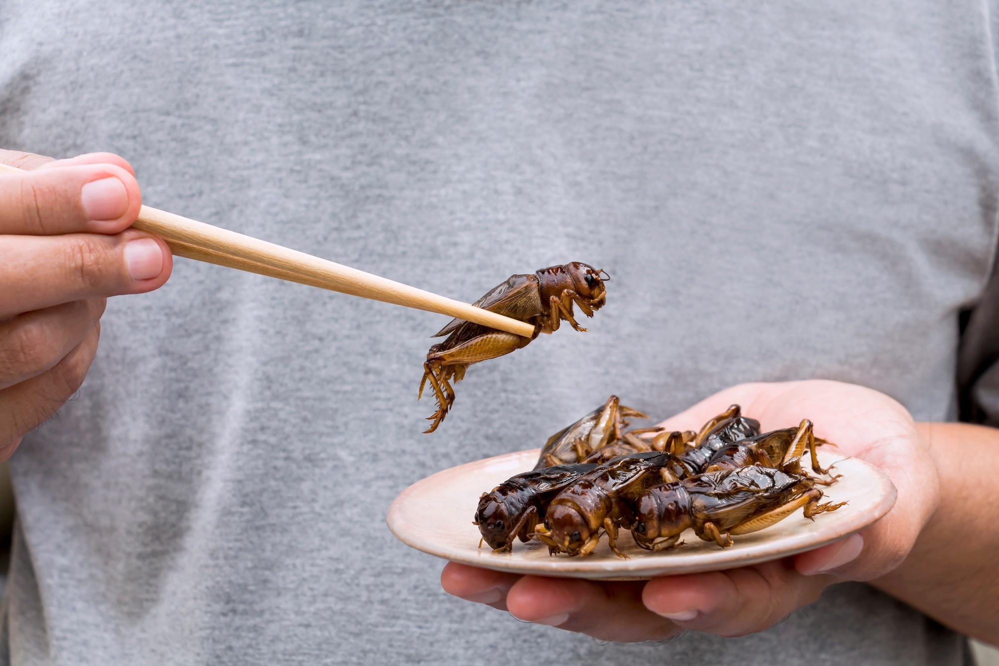 Study: Insects as food - Changes in consumers’ acceptance of entomophagy in Hungary between 2016 and 2021. Image Credit: nicemyphoto/Shutterstock.com