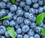 New study reveals blueberry quality discrepancies at retail markets