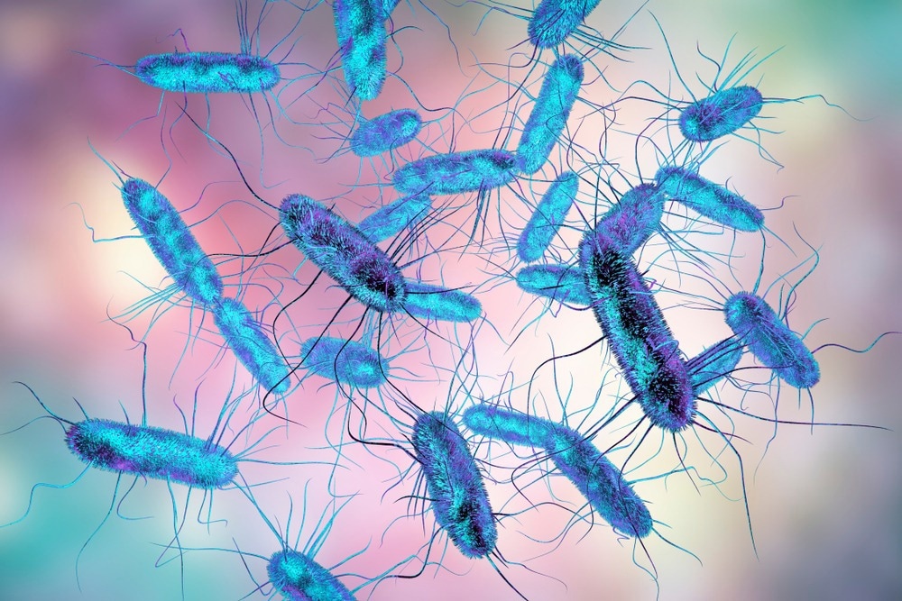Study: Local Salmonella Enteritidis restaurant outbreak investigation in England provides further evidence for eggs as source in widespread international cluster, March to April 2023. Image Credit: Kateryna Kon/Shutterstock.com