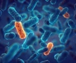 The hidden factors of resistance: how pathogen diversity drives antibiotic response