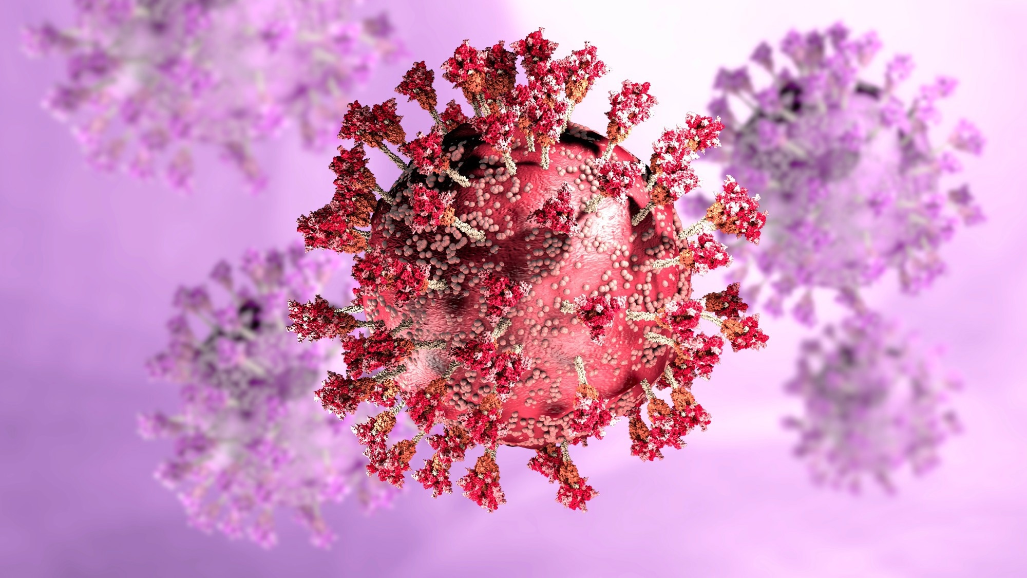 Can Your Immune System Protect You From Coronavirus Strains