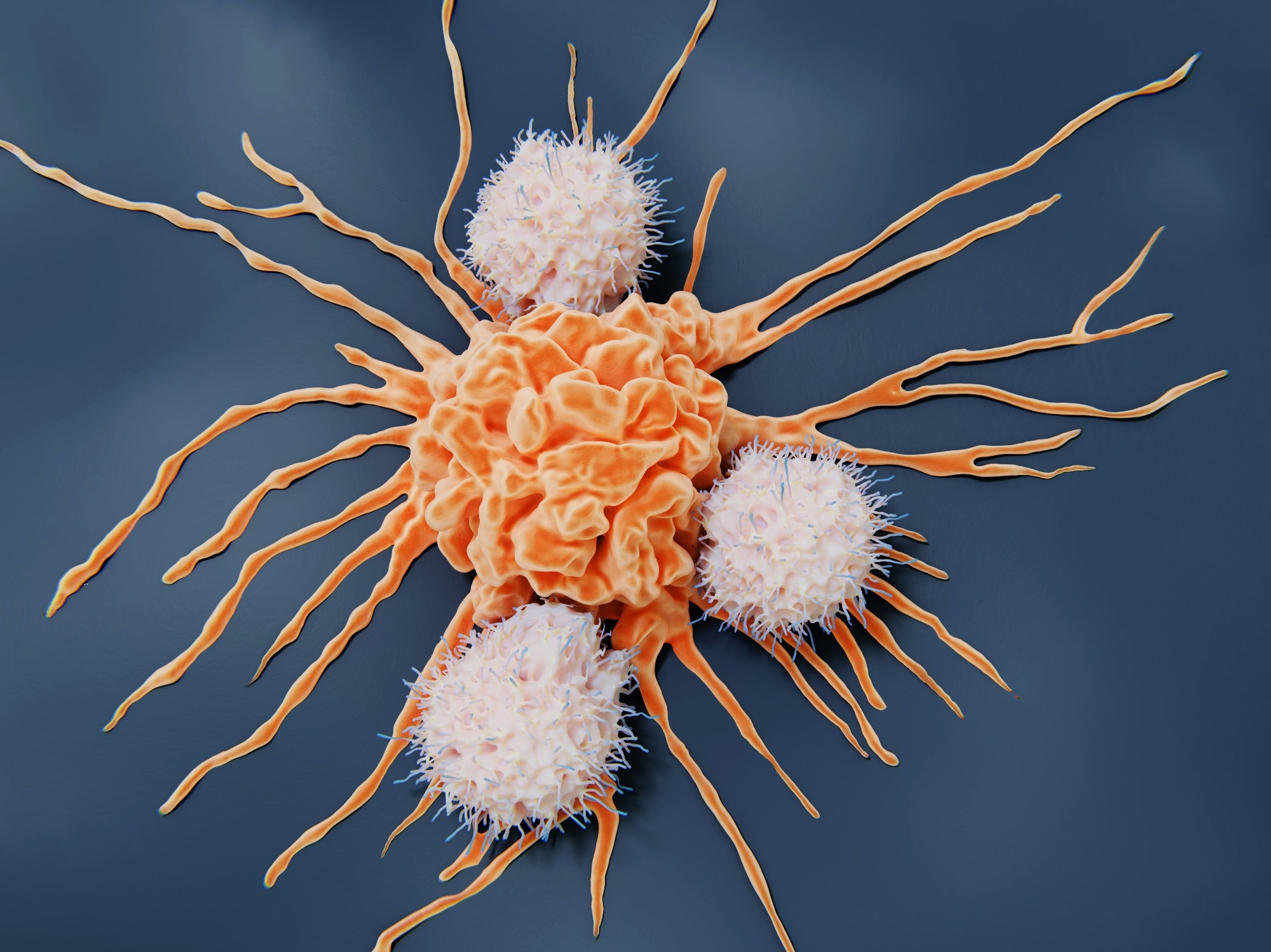 Study: Immunodiagnosis — the promise of personalized immunotherapy. Image Credit: Juan Gaertner / Shutterstock.com