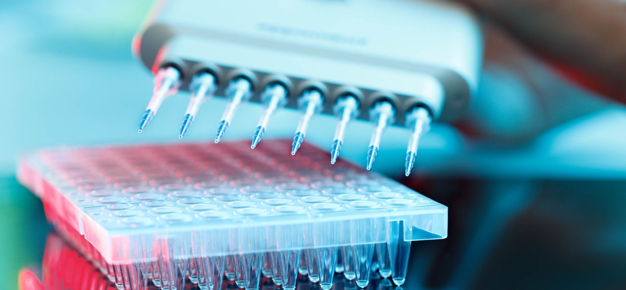 Study: Precision Medicine in a Community Cancer Center: Pan-Cancer DNA/RNA Sequencing of Tumors Reveals Clinically Relevant Gene Fusions. Image Credit: luchschenF/Shutterstock.com