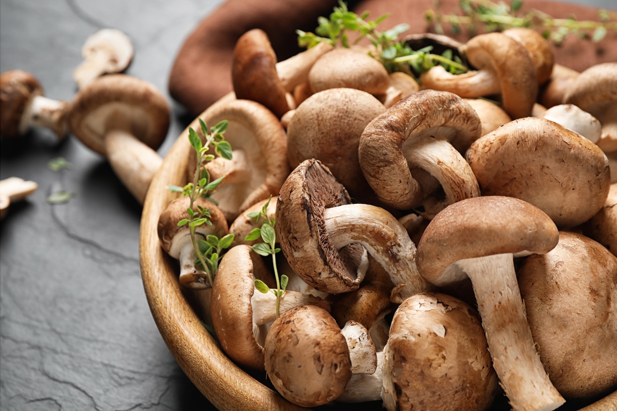 Unveiling the Therapeutic Potentials of Mushroom Bioactive Compounds in Alzheimer’s Disease